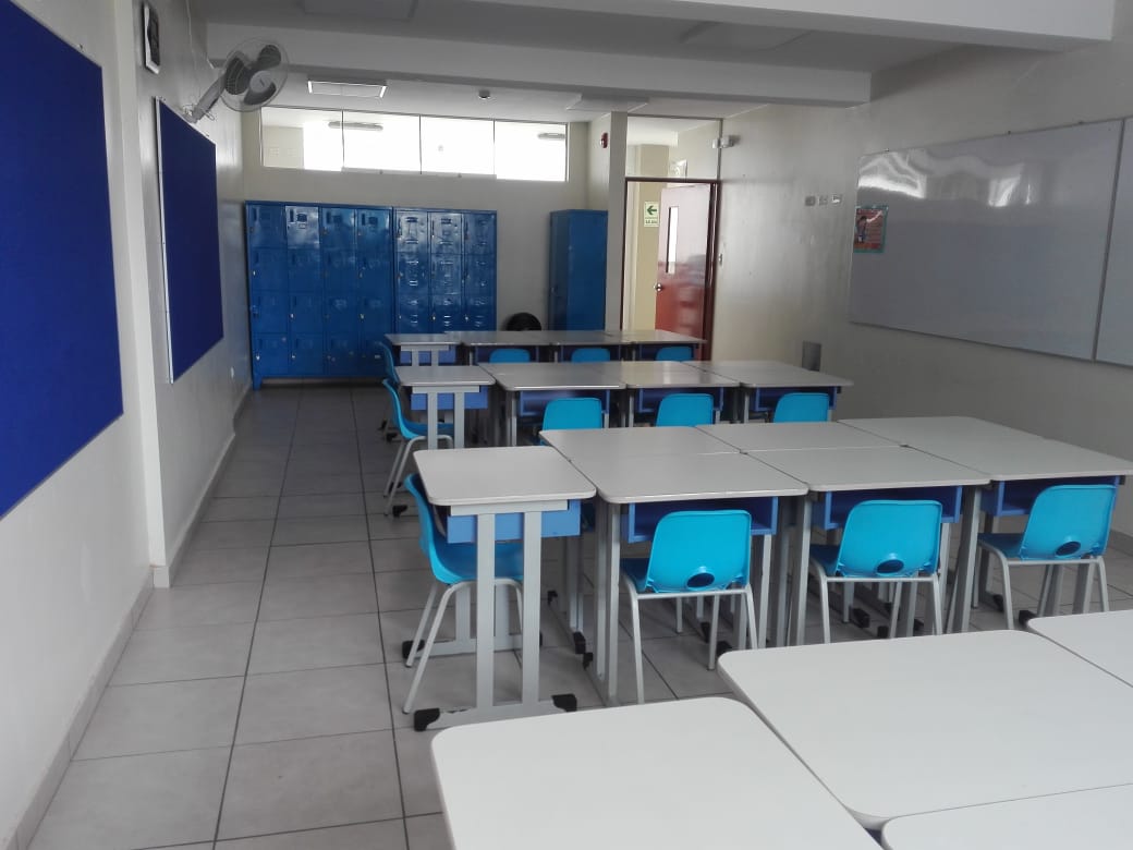 primaria_03
