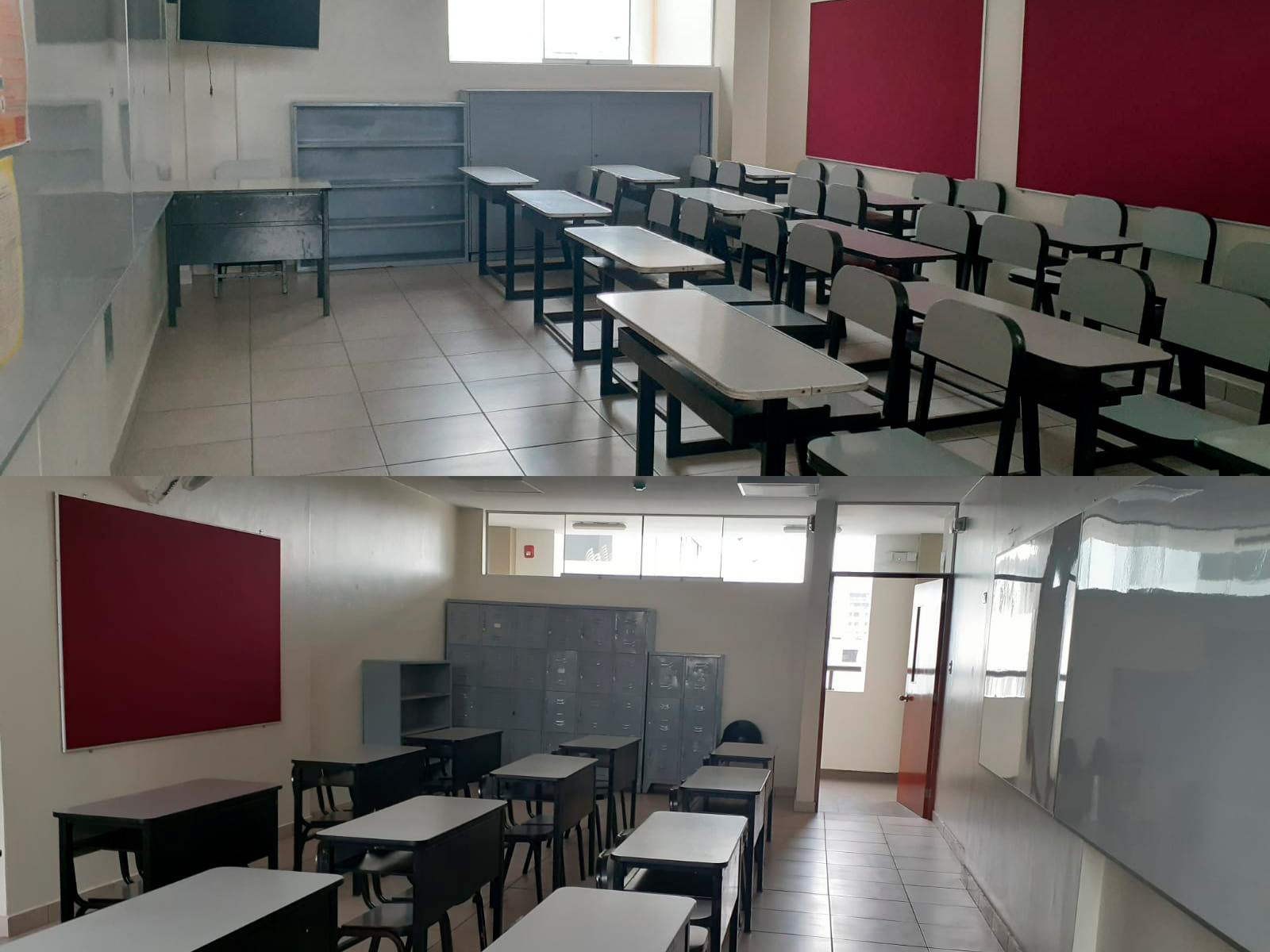 primaria_05