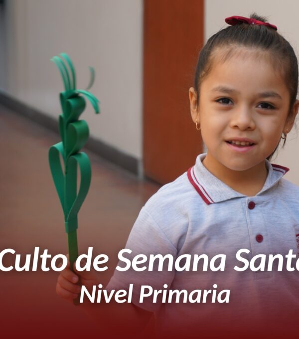 🌿 ¡Hosanna al Hijo de David! 🌿