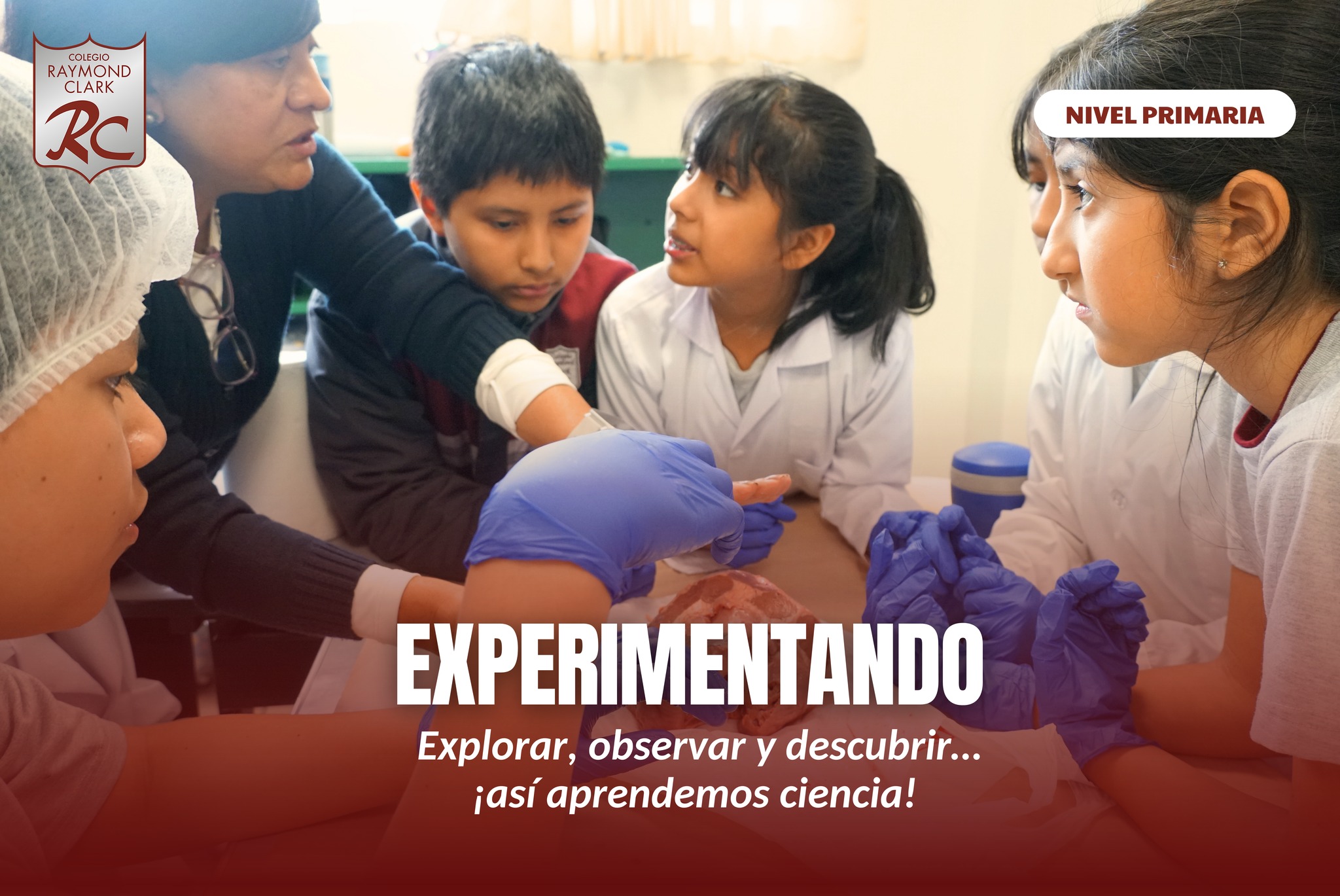 🔬❤️ Aprendiendo con el corazón❤️🔬