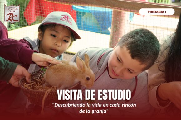 Visita de estudio 1ro a 3ro de primaria