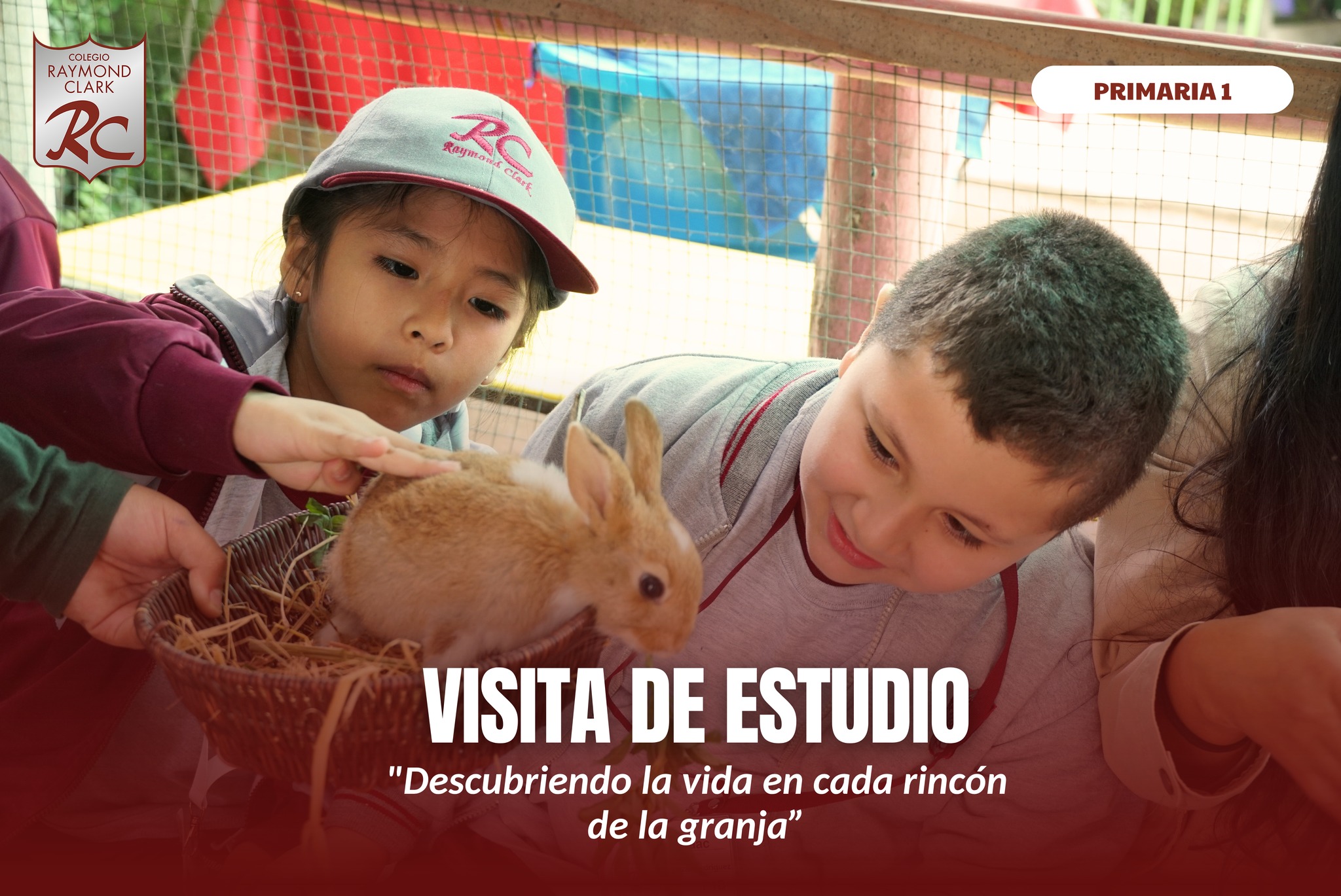 Visita de estudio 1ro a 3ro de primaria