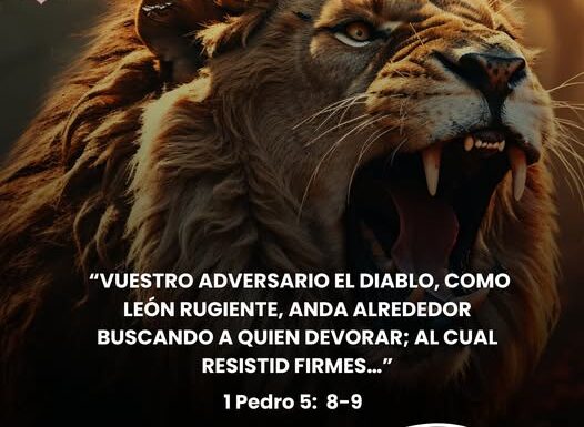 📖LECTURA EN 1PEDRO 5: 6-11