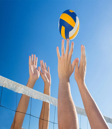 Taller de Voley